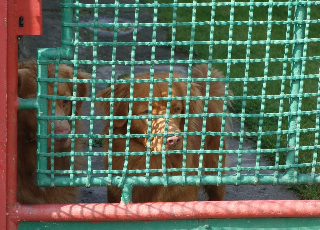 DSC01375aa