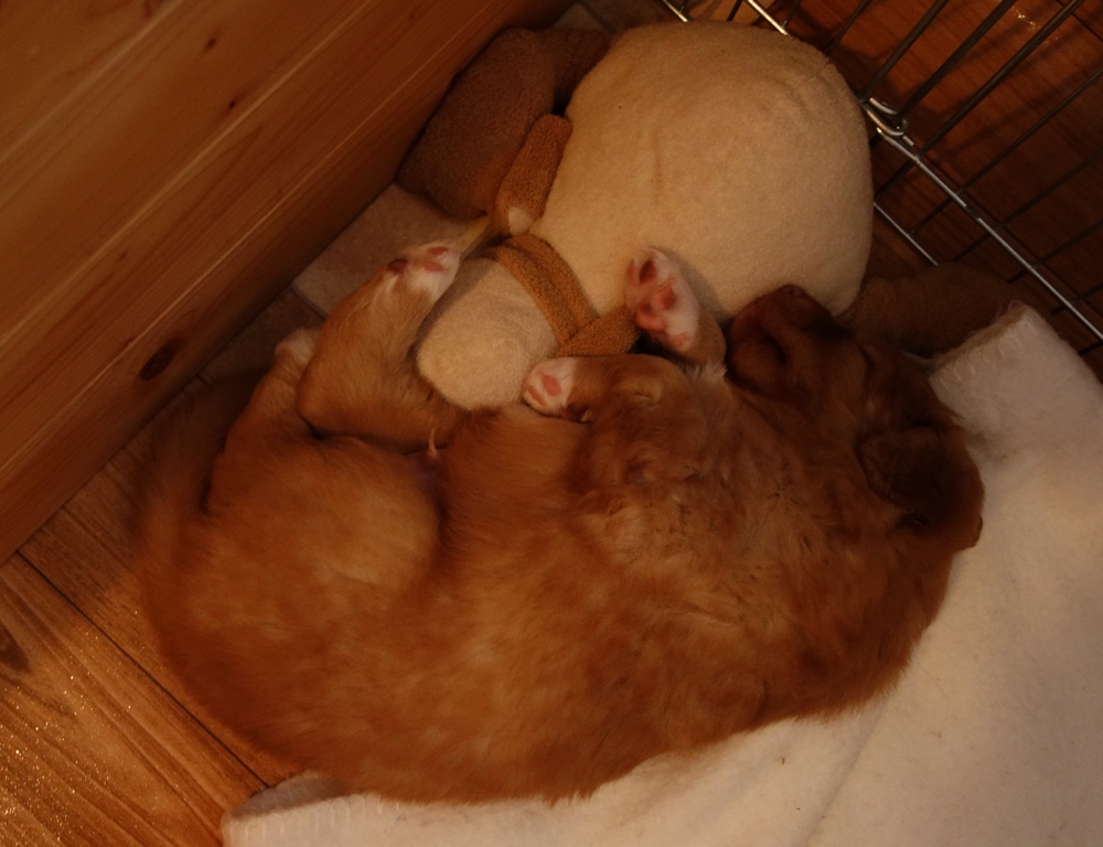 DSC02379a