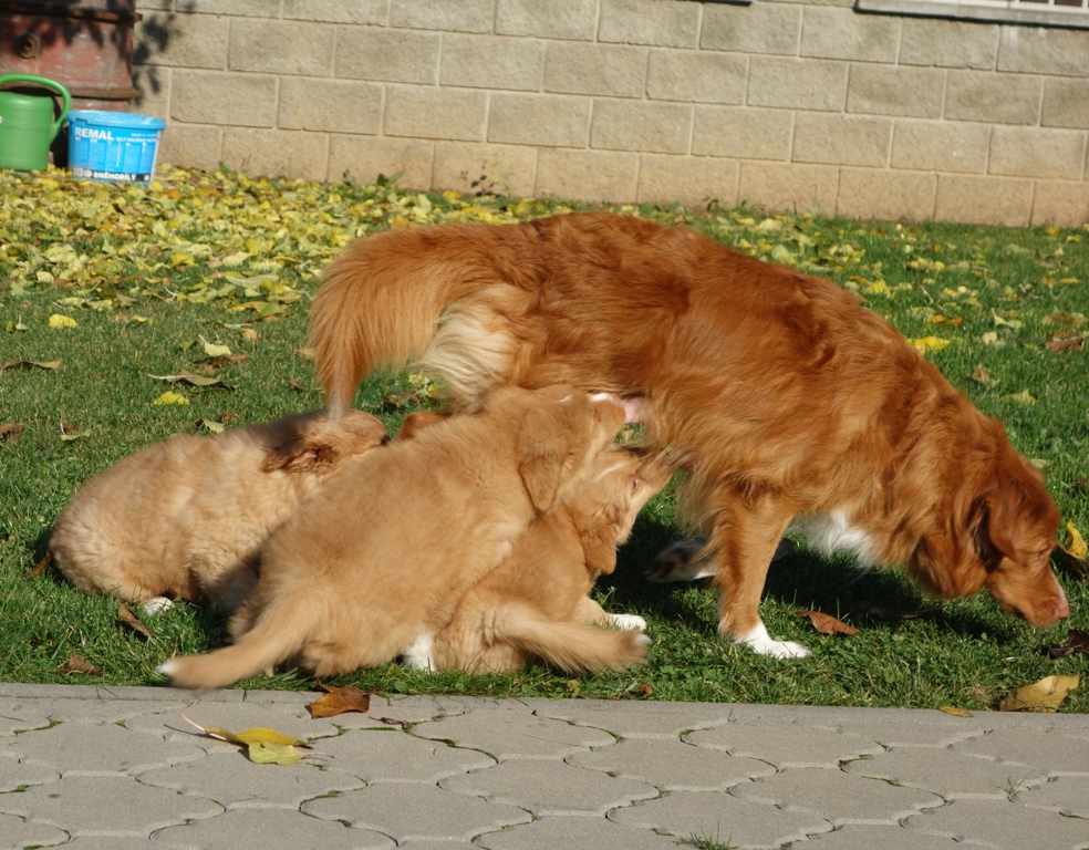 DSC02490a