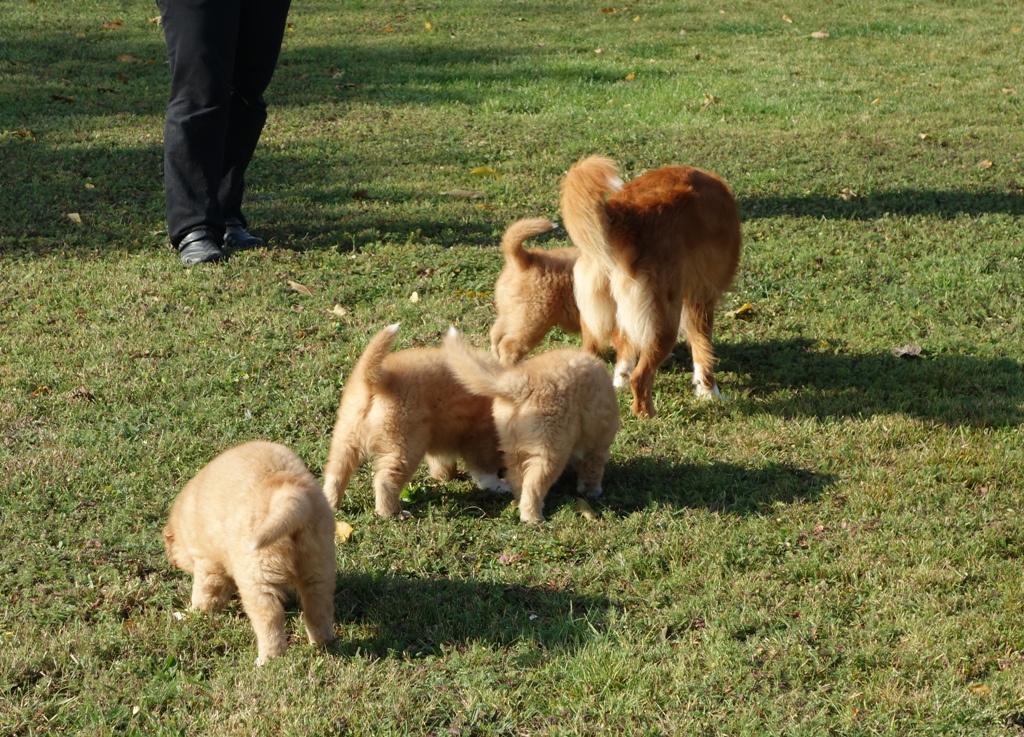 DSC02505a