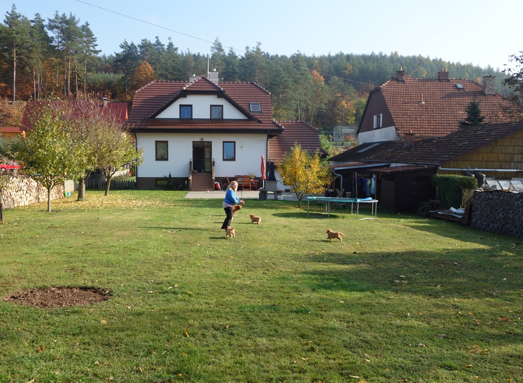 DSC02555a