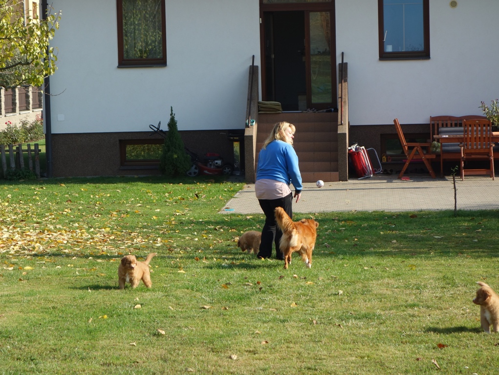 DSC02556a