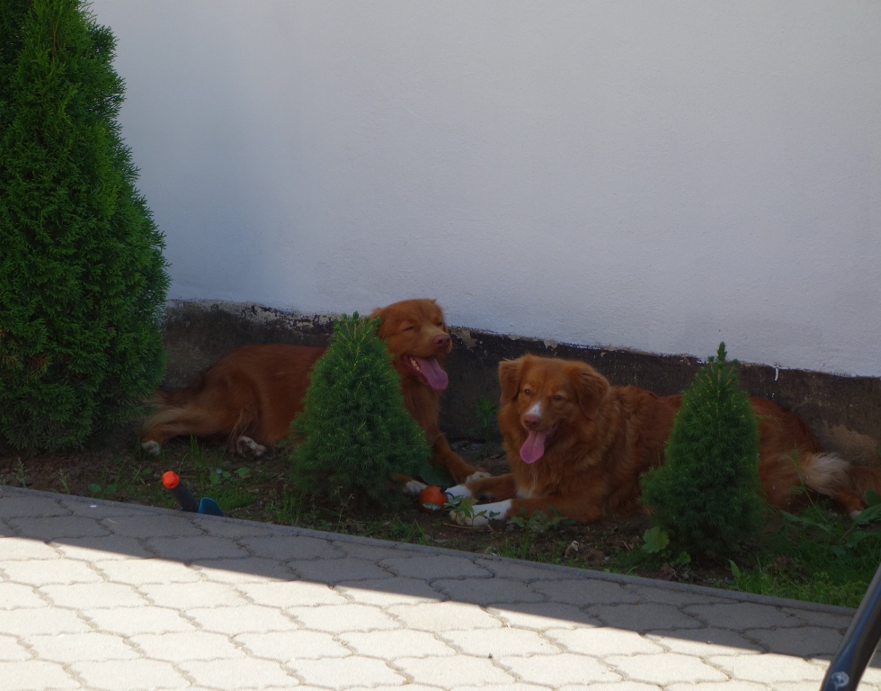 DSC03752aa