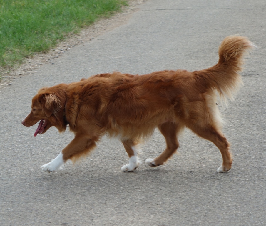 DSC01920aa7