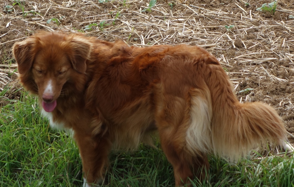 DSC01923aa