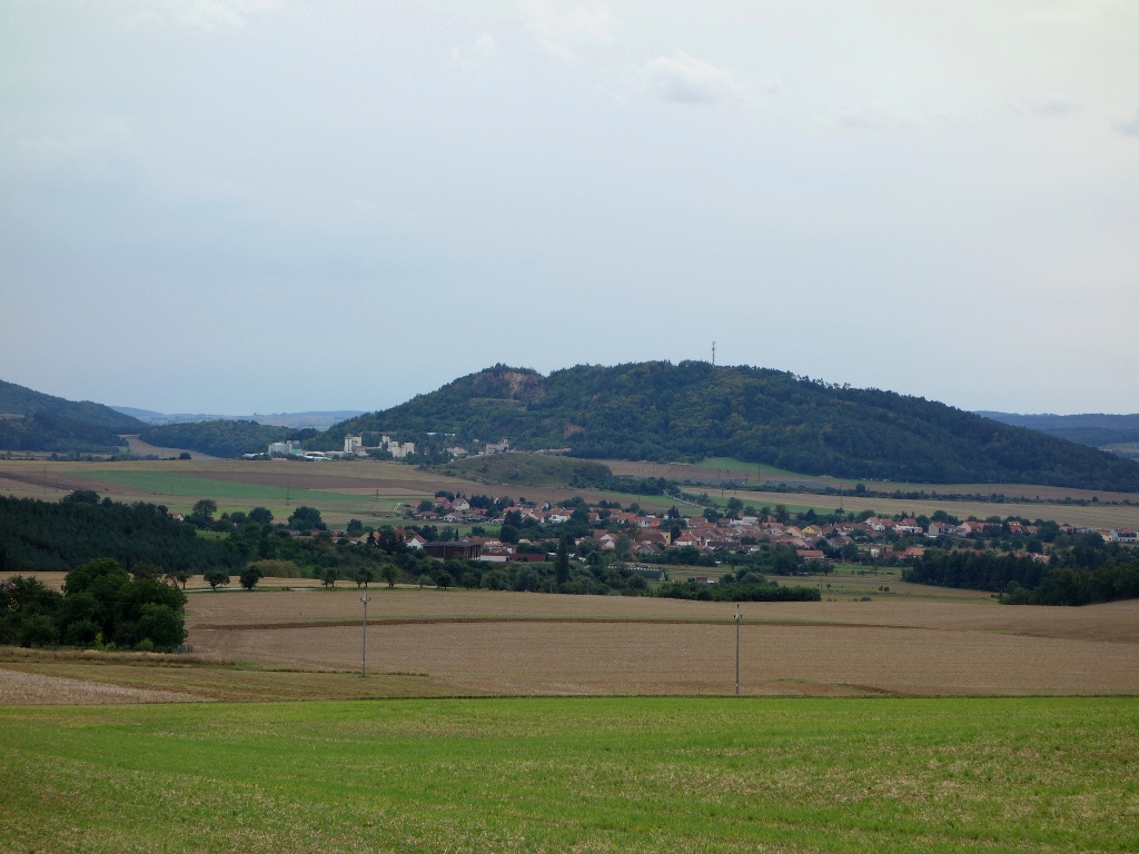 DSC01925aa6