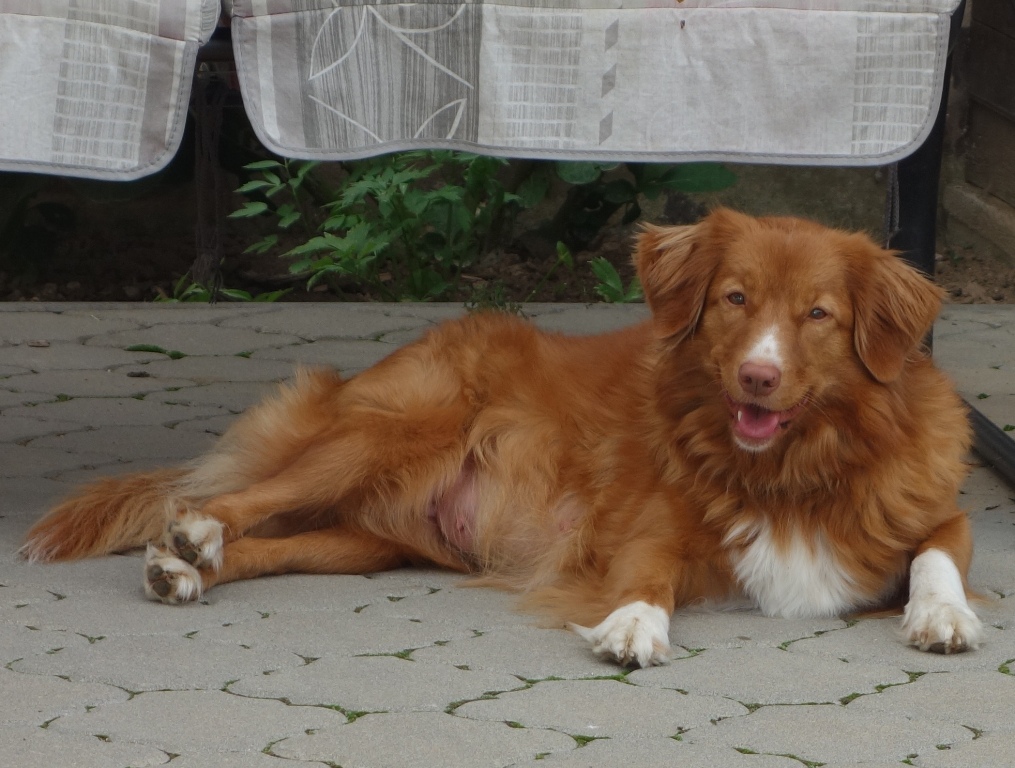 DSC01934aa0