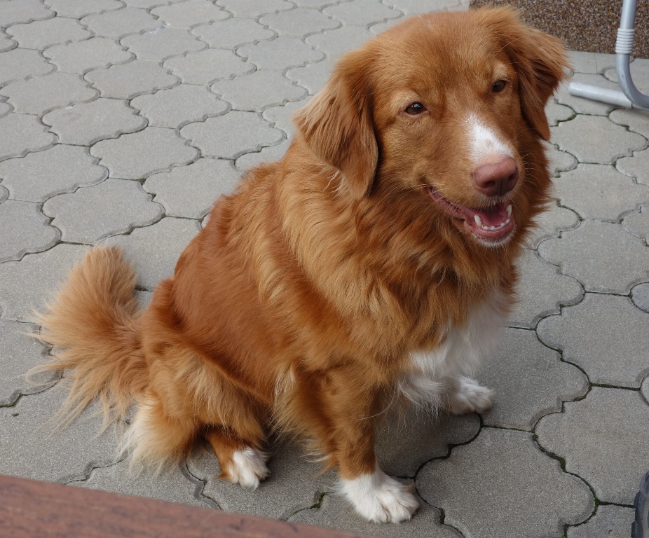 DSC01940aa2
