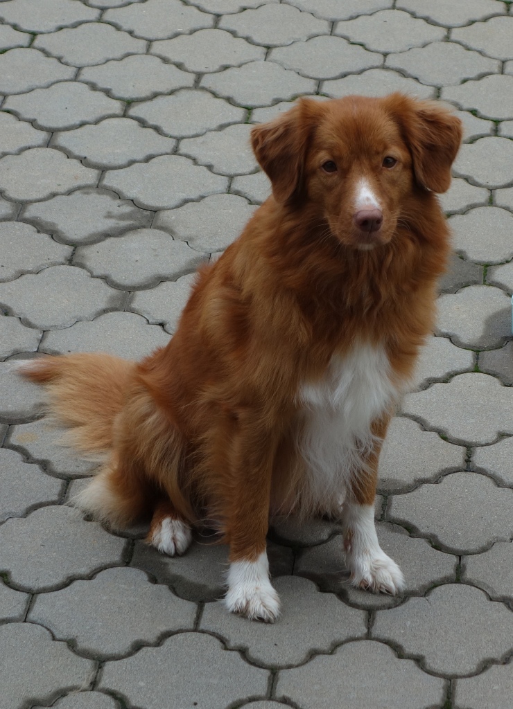 DSC02422aa